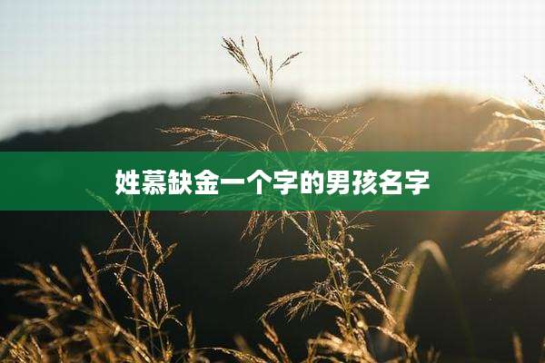 姓慕缺金一个字的男孩名字
