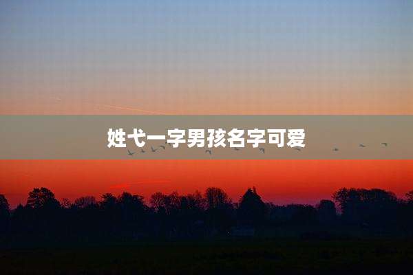 姓弋一字男孩名字可爱