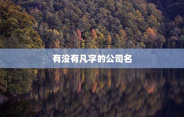 有没有凡字的公司名