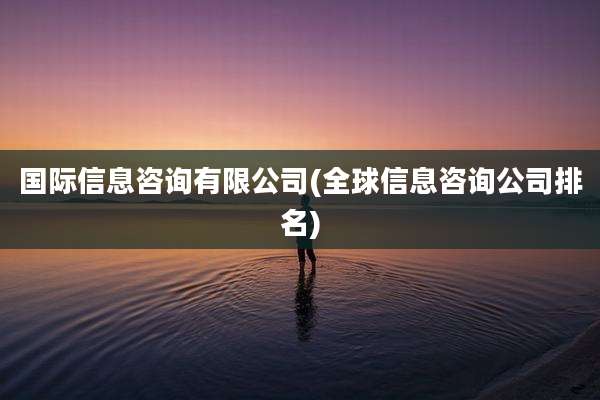 国际信息咨询有限公司(全球信息咨询公司排名)