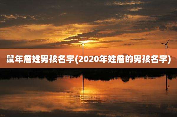 鼠年詹姓男孩名字(2020年姓詹的男孩名字)