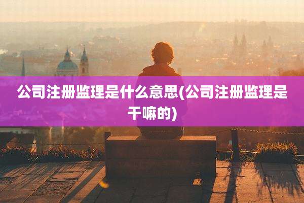 公司注册监理是什么意思(公司注册监理是干嘛的)