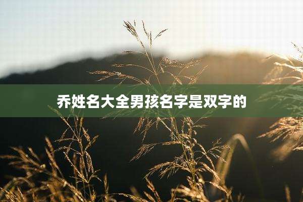 乔姓名大全男孩名字是双字的