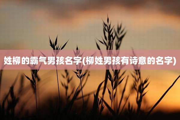 姓柳的霸气男孩名字(柳姓男孩有诗意的名字)