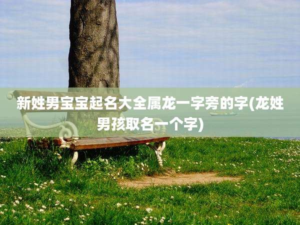 新姓男宝宝起名大全属龙一字旁的字(龙姓男孩取名一个字)