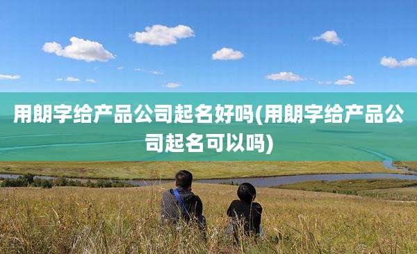 用朗字给产品公司起名好吗(用朗字给产品公司起名可以吗)