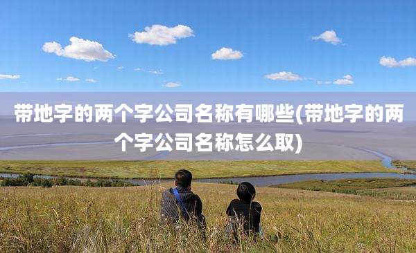 带地字的两个字公司名称有哪些(带地字的两个字公司名称怎么取)