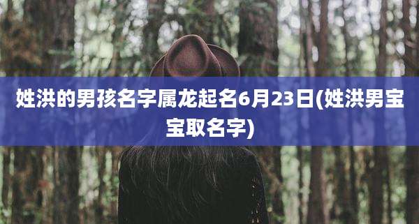 姓洪的男孩名字属龙起名6月23日(姓洪男宝宝取名字)
