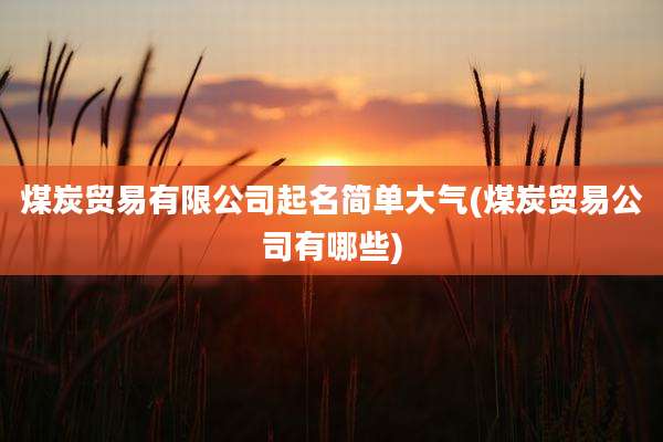 煤炭贸易有限公司起名简单大气(煤炭贸易公司有哪些)