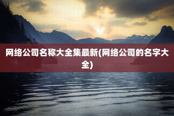网络公司名称大全集最新(网络公司的名字大全)