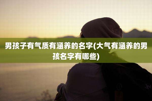 男孩子有气质有涵养的名字(大气有涵养的男孩名字有哪些)