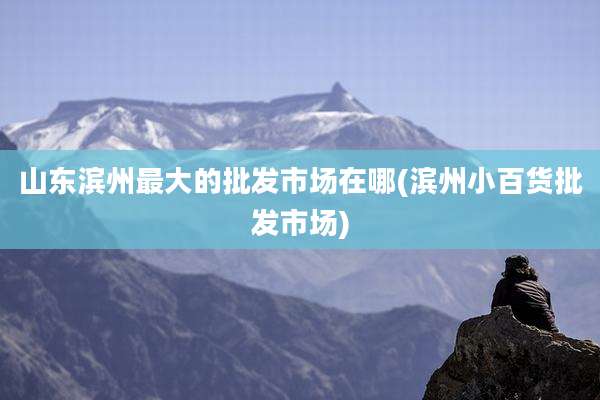 山东滨州最大的批发市场在哪(滨州小百货批发市场)