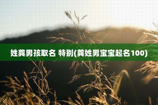 姓龚男孩取名 特别(龚姓男宝宝起名100)
