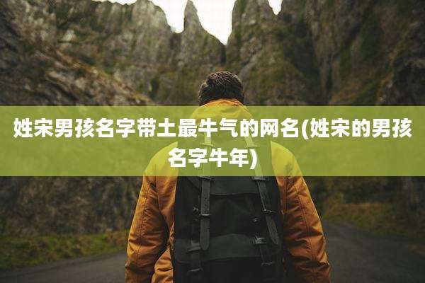 姓宋男孩名字带土最牛气的网名(姓宋的男孩名字牛年)