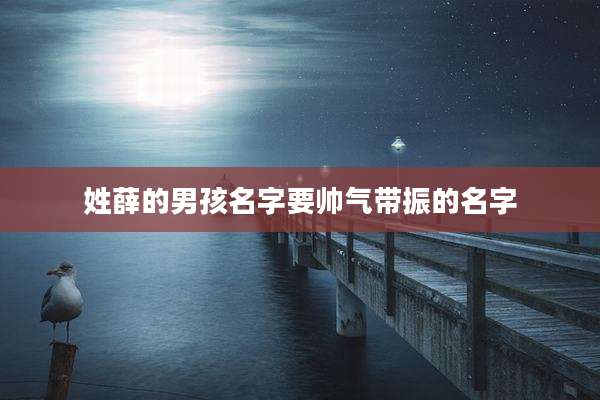 姓薛的男孩名字要帅气带振的名字