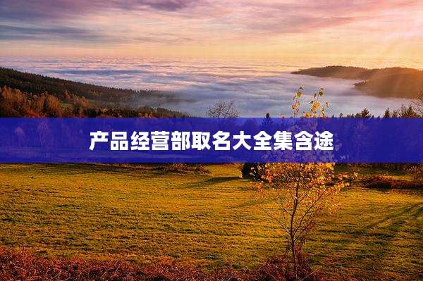 产品经营部取名大全集含途