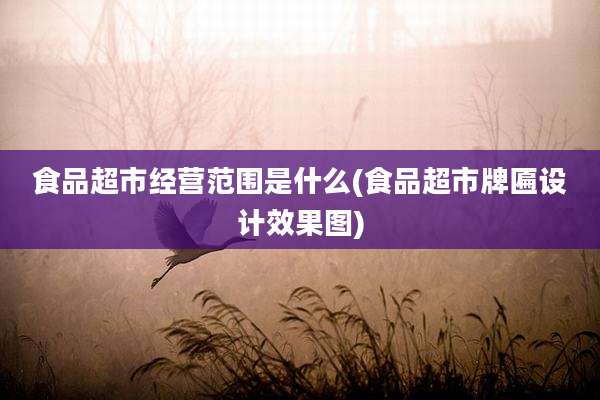 食品超市经营范围是什么(食品超市牌匾设计效果图)
