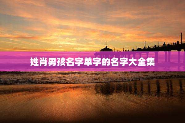 姓肖男孩名字单字的名字大全集