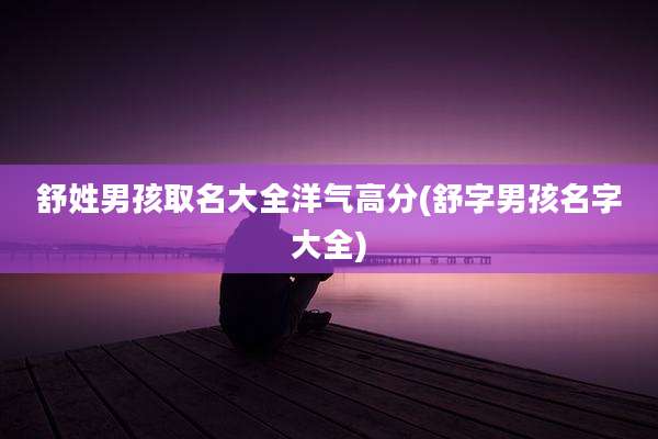 舒姓男孩取名大全洋气高分(舒字男孩名字大全)