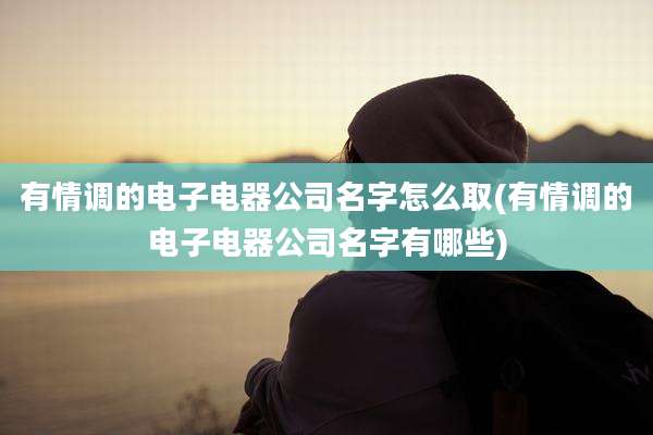 有情调的电子电器公司名字怎么取(有情调的电子电器公司名字有哪些)