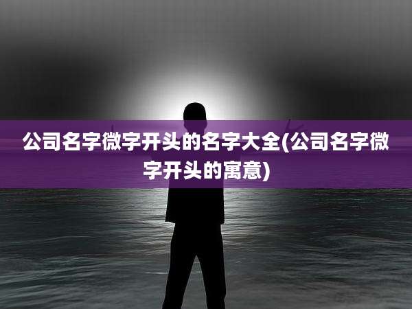 公司名字微字开头的名字大全(公司名字微字开头的寓意)