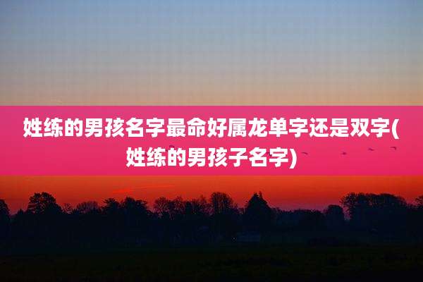 姓练的男孩名字最命好属龙单字还是双字(姓练的男孩子名字)