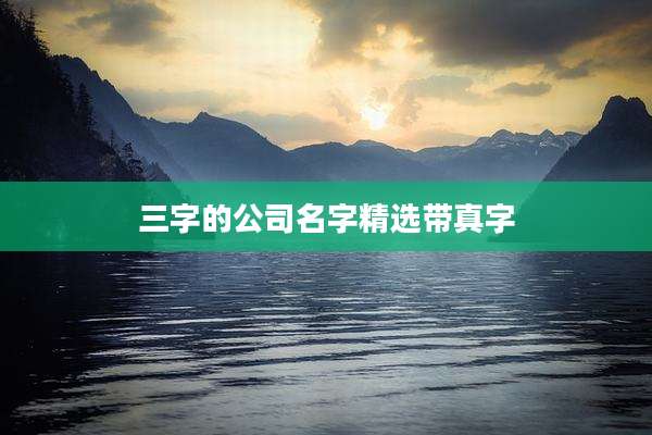 三字的公司名字精选带真字