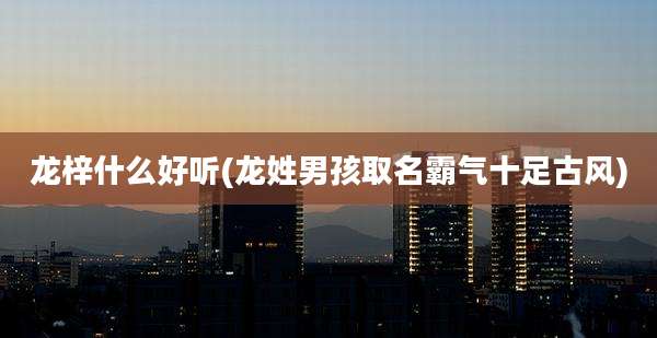 龙梓什么好听(龙姓男孩取名霸气十足古风)