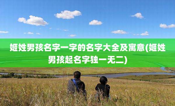 姬姓男孩名字一字的名字大全及寓意(姬姓男孩起名字独一无二)