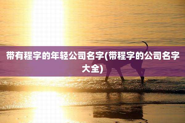 带有程字的年轻公司名字(带程字的公司名字大全)