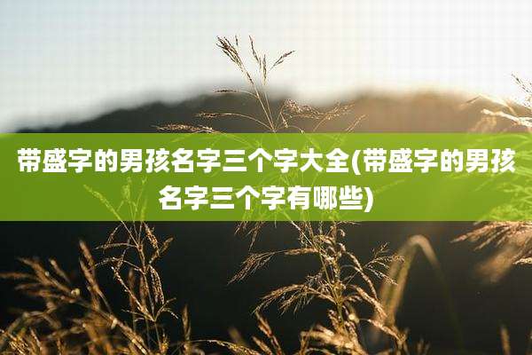 带盛字的男孩名字三个字大全(带盛字的男孩名字三个字有哪些)