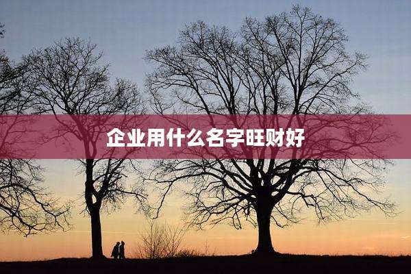 企业用什么名字旺财好