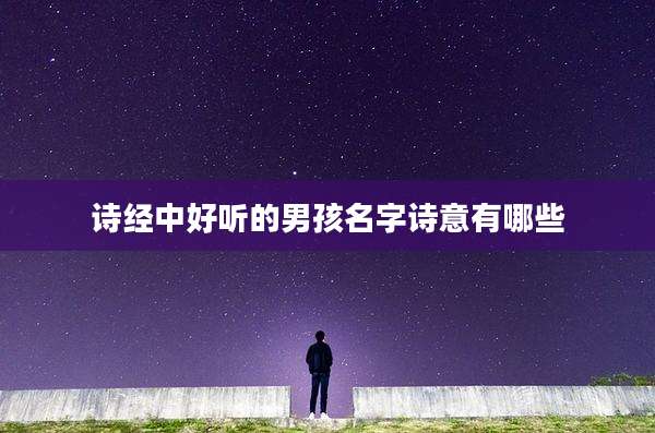 诗经中好听的男孩名字诗意有哪些