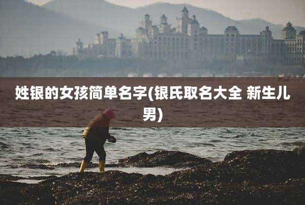 姓银的女孩简单名字(银氏取名大全 新生儿男)