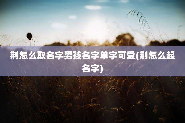 荆怎么取名字男孩名字单字可爱(荆怎么起名字)