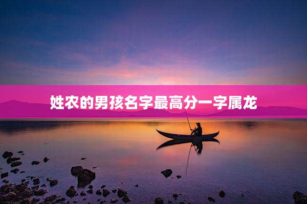 姓农的男孩名字最高分一字属龙