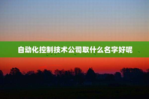 自动化控制技术公司取什么名字好呢