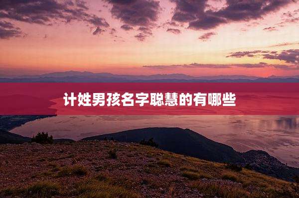 计姓男孩名字聪慧的有哪些