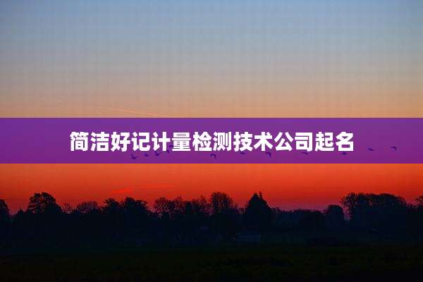 简洁好记计量检测技术公司起名