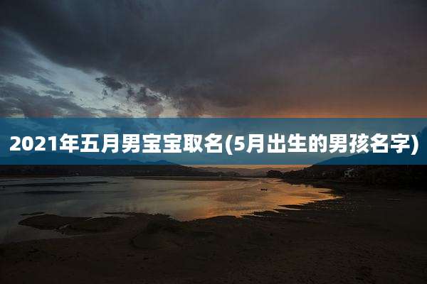 2021年五月男宝宝取名(5月出生的男孩名字)