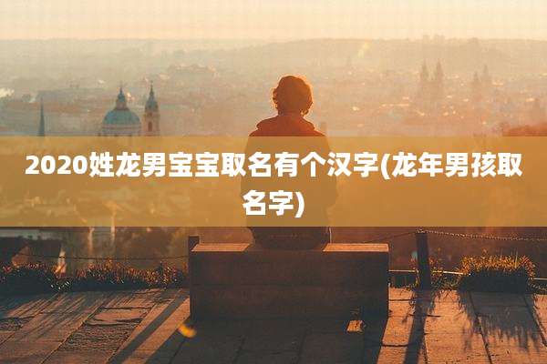 2020姓龙男宝宝取名有个汉字(龙年男孩取名字)
