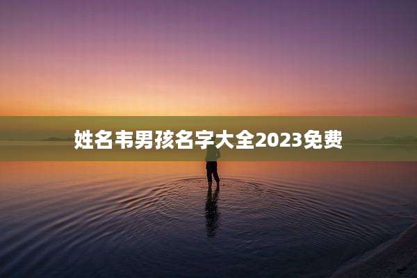 姓名韦男孩名字大全2023免费