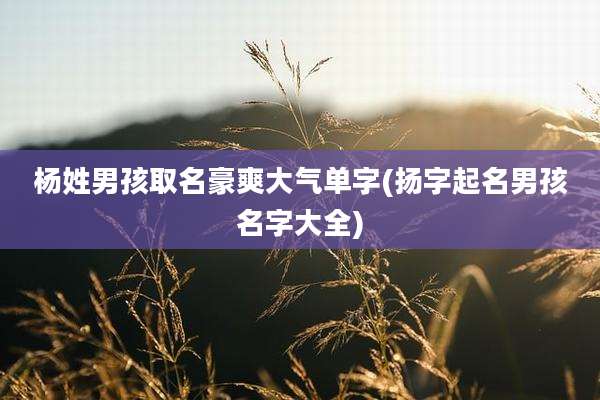 杨姓男孩取名豪爽大气单字(扬字起名男孩名字大全)