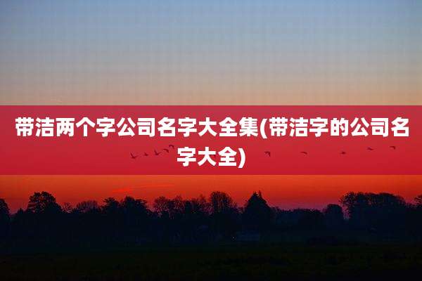 带洁两个字公司名字大全集(带洁字的公司名字大全)