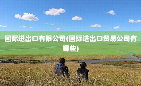 国际进出口有限公司(国际进出口贸易公司有哪些)
