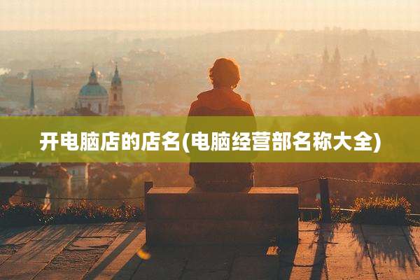 开电脑店的店名(电脑经营部名称大全)