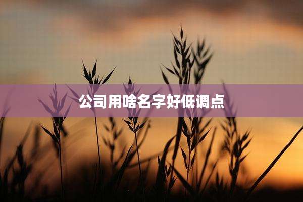公司用啥名字好低调点