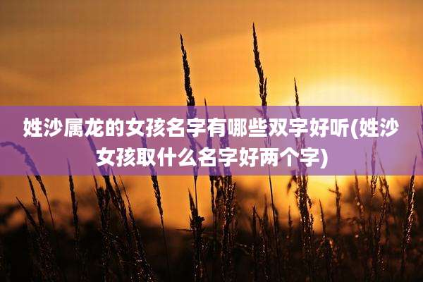 姓沙属龙的女孩名字有哪些双字好听(姓沙女孩取什么名字好两个字)