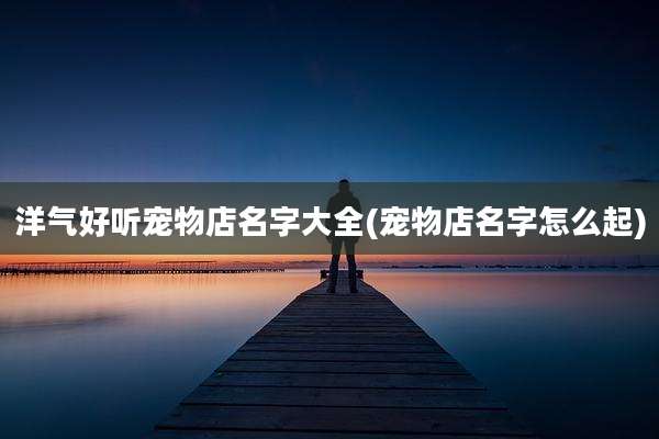 洋气好听宠物店名字大全(宠物店名字怎么起)