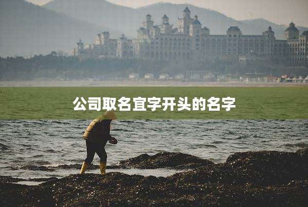 公司取名宜字开头的名字